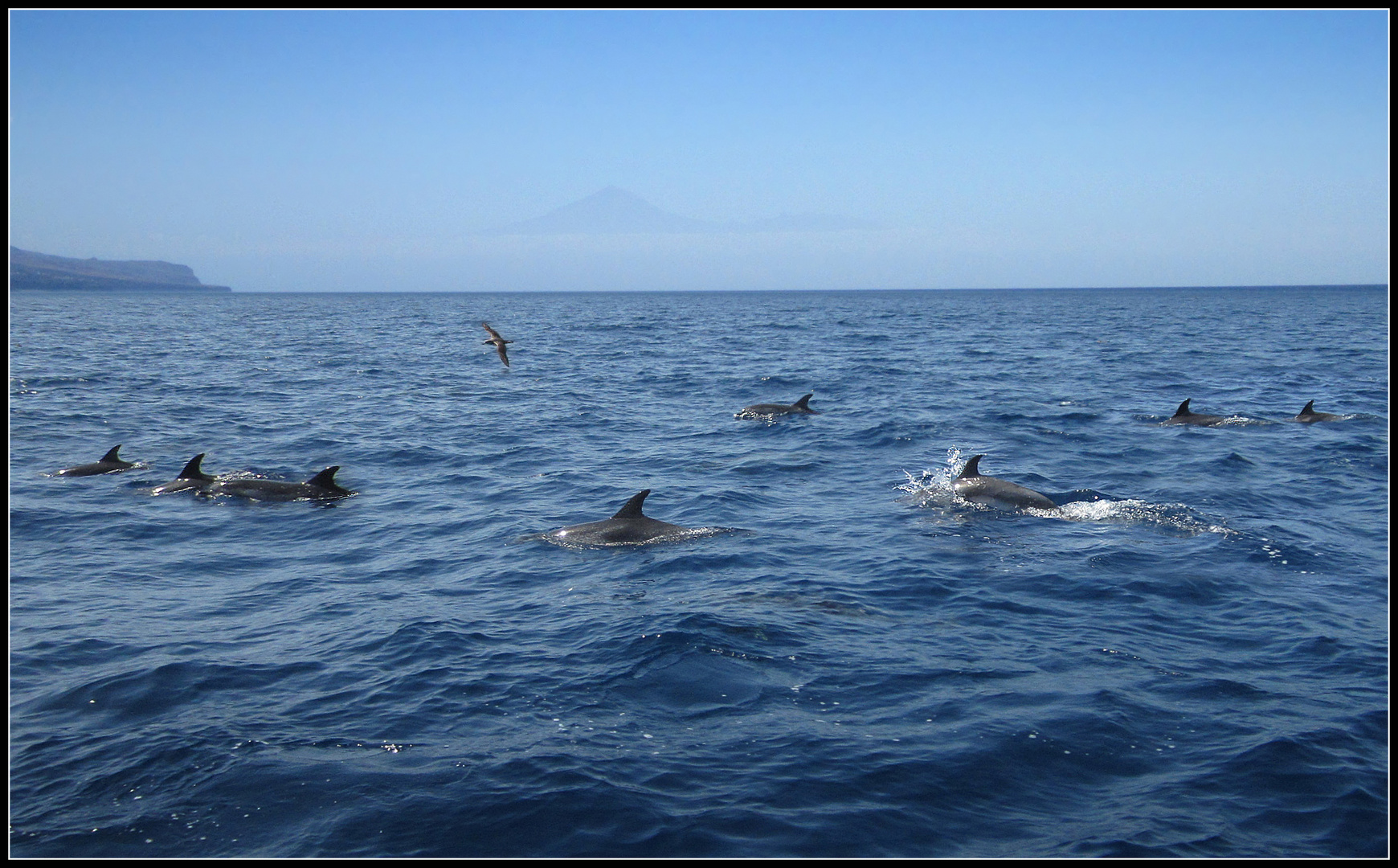 Bei La Gomera (Valle Gran Rey 2014)