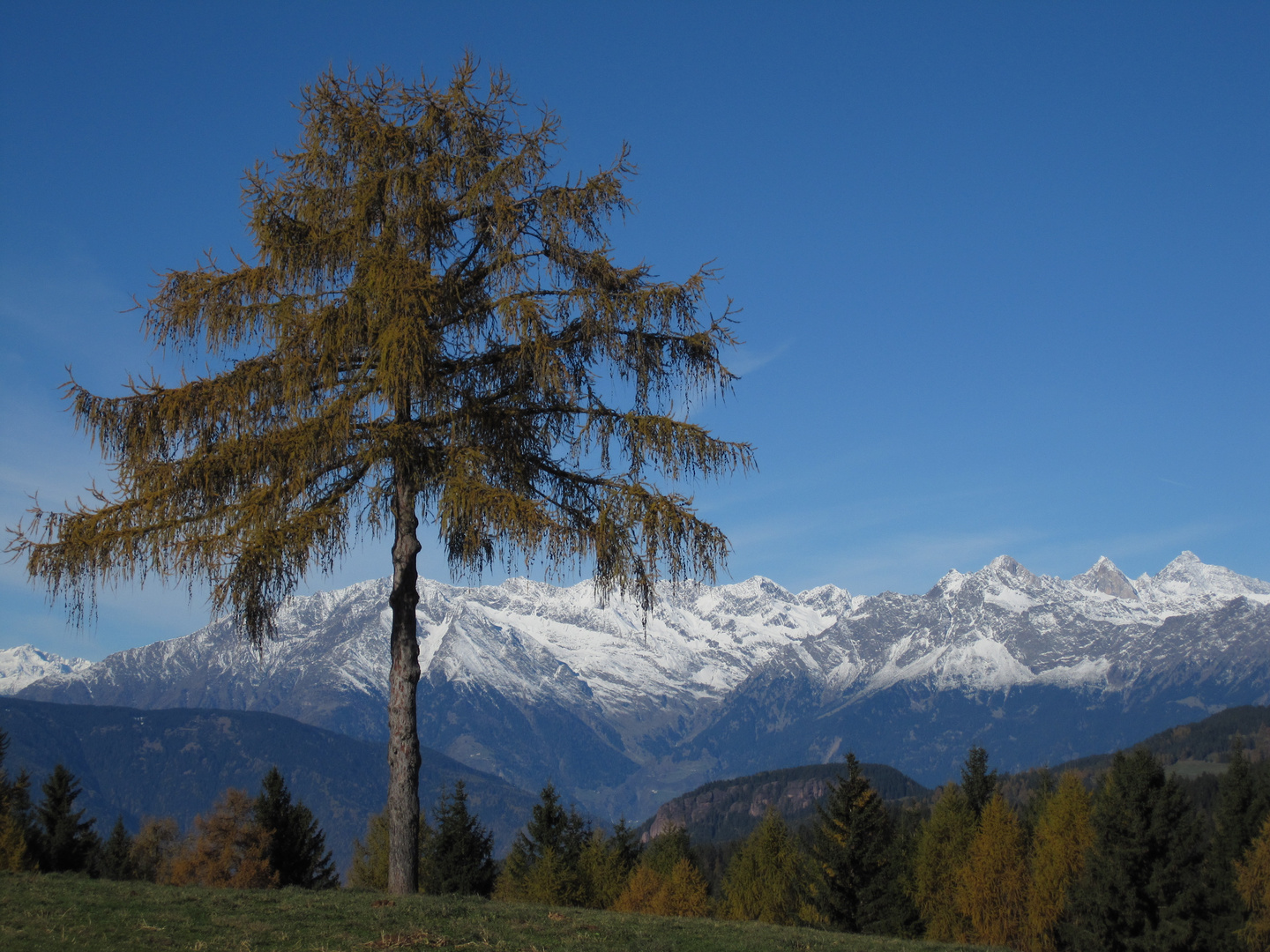 bei Langfenn