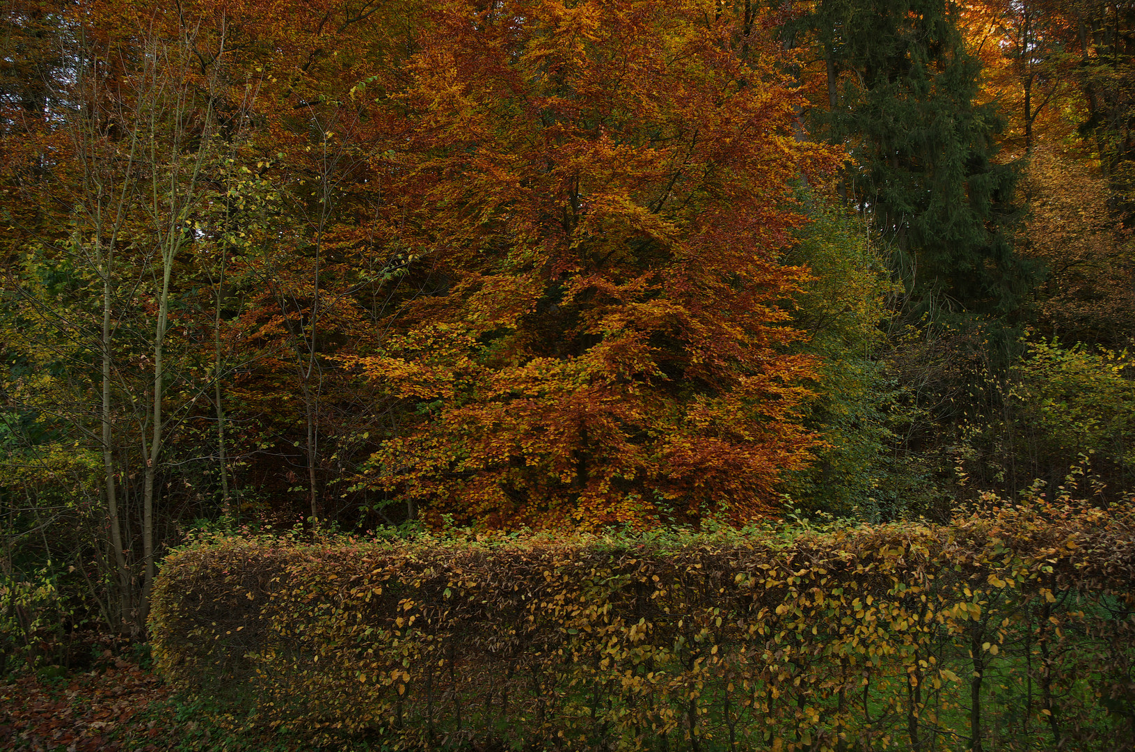 bei Leonberg Oktober 2013