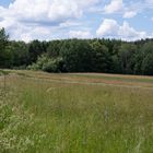 Bei Lindelbrunn (Pfalz)