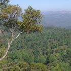 bei Madikeri