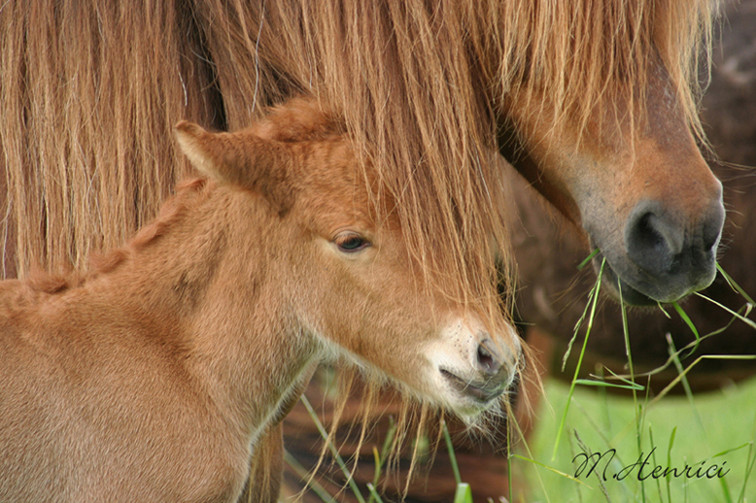 bei Mama