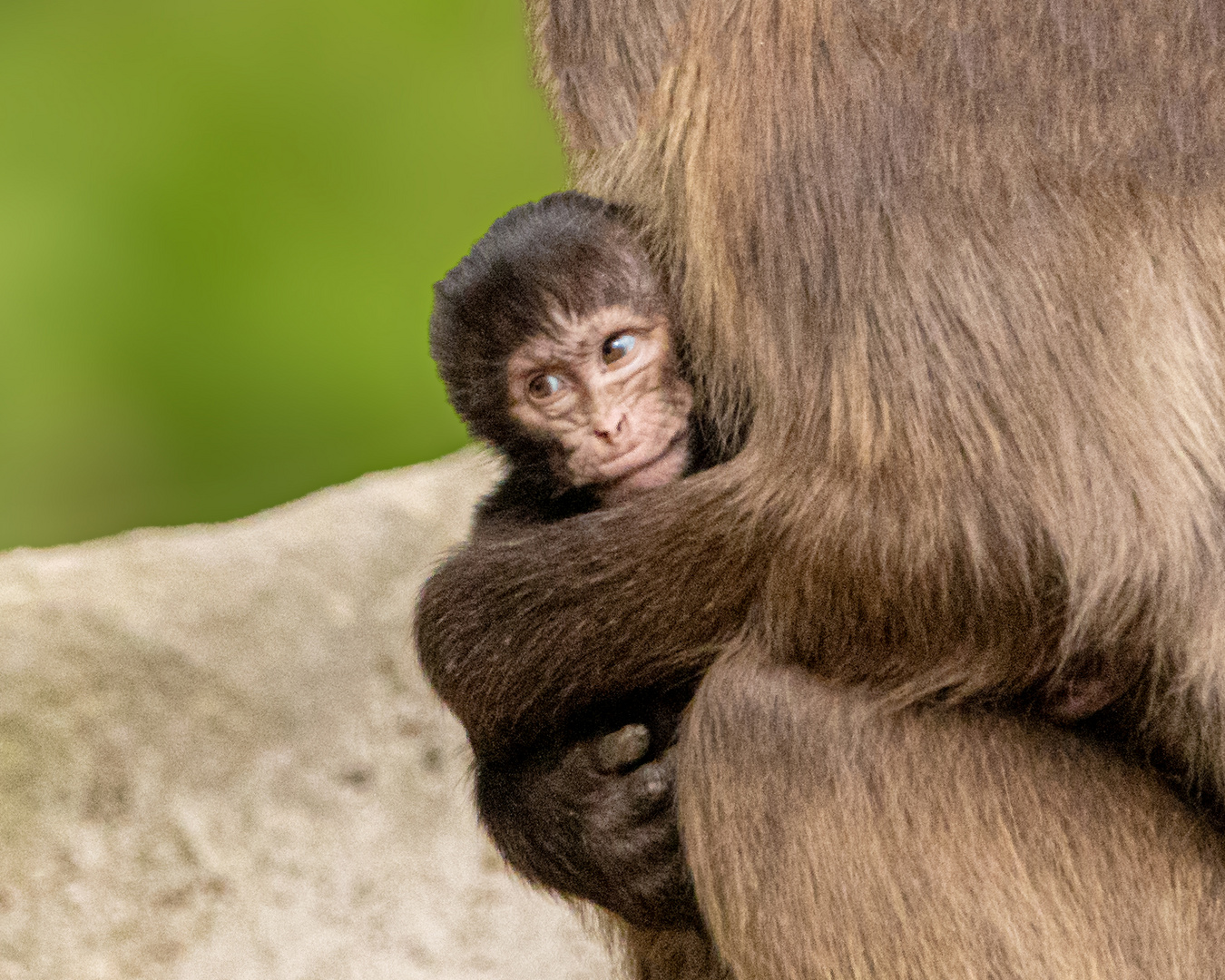 bei Mama