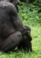 "Bei Mama fühl´ ich mich sicher!"