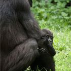 "Bei Mama fühl´ ich mich sicher!"