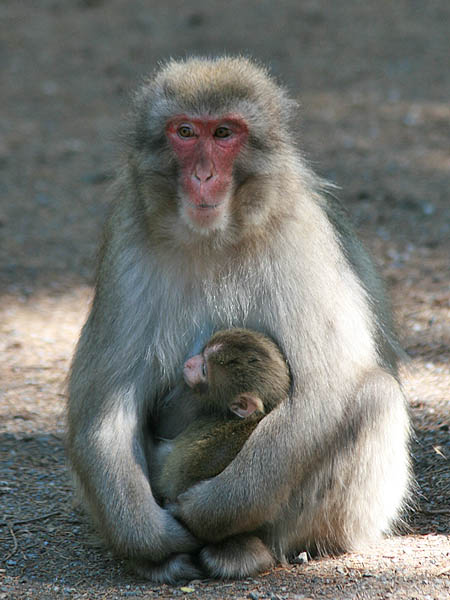 Bei Mama fühl ich mich wohl.