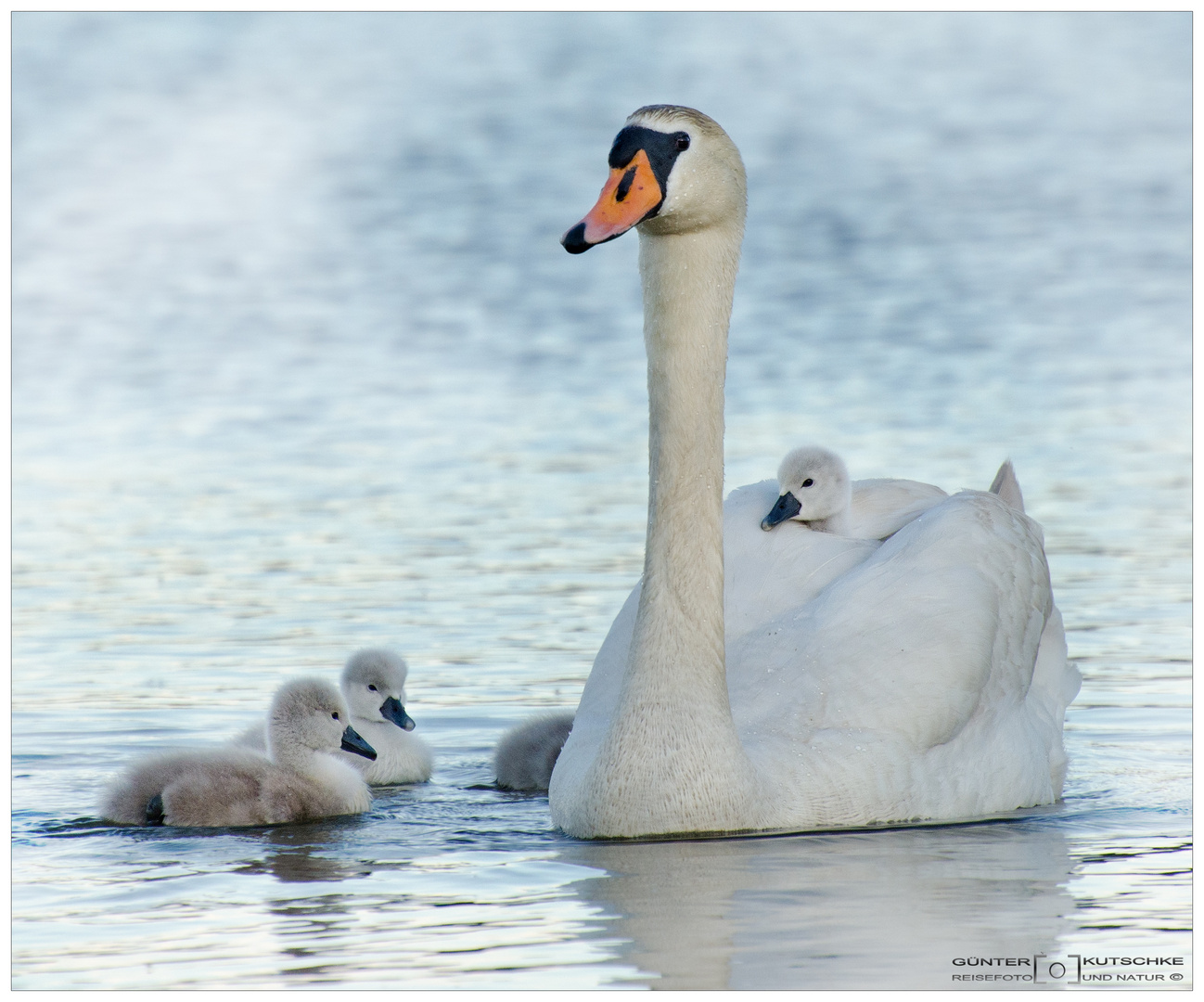 bei Mama fühle ich mich am wohlsten..