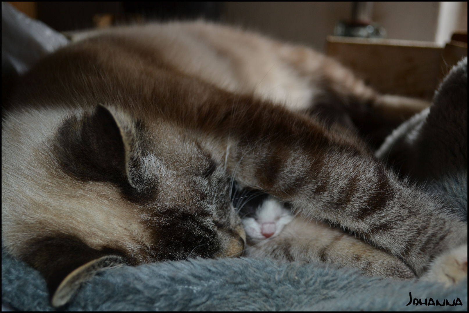 bei Mama is am schönsten !