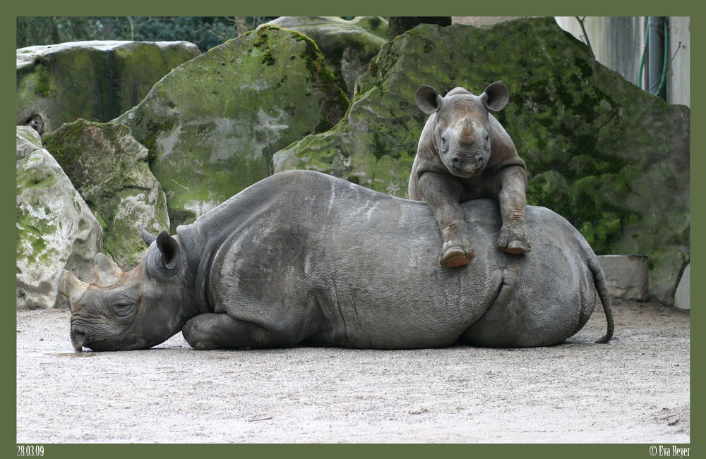 Bei Mama ist es immer am besten!