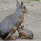 Bei Mama schmeckt's am besten!