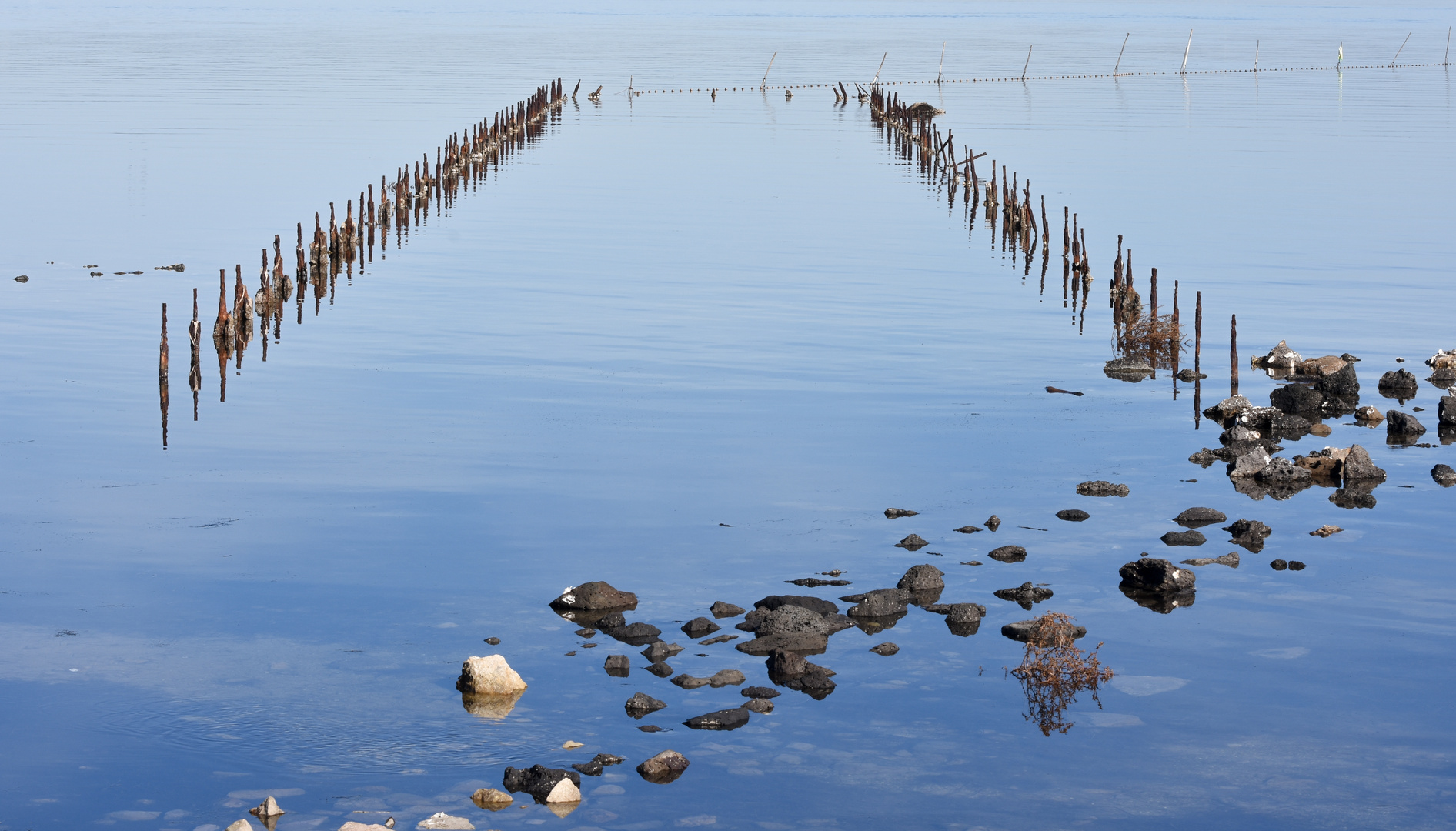 Bei Marseillan