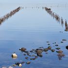 Bei Marseillan