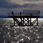 Bei Meersburg, Sommer 2011