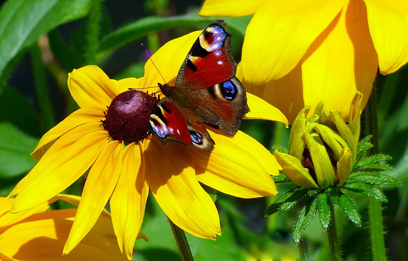 Bei meinem gestrigen Besuch . . .