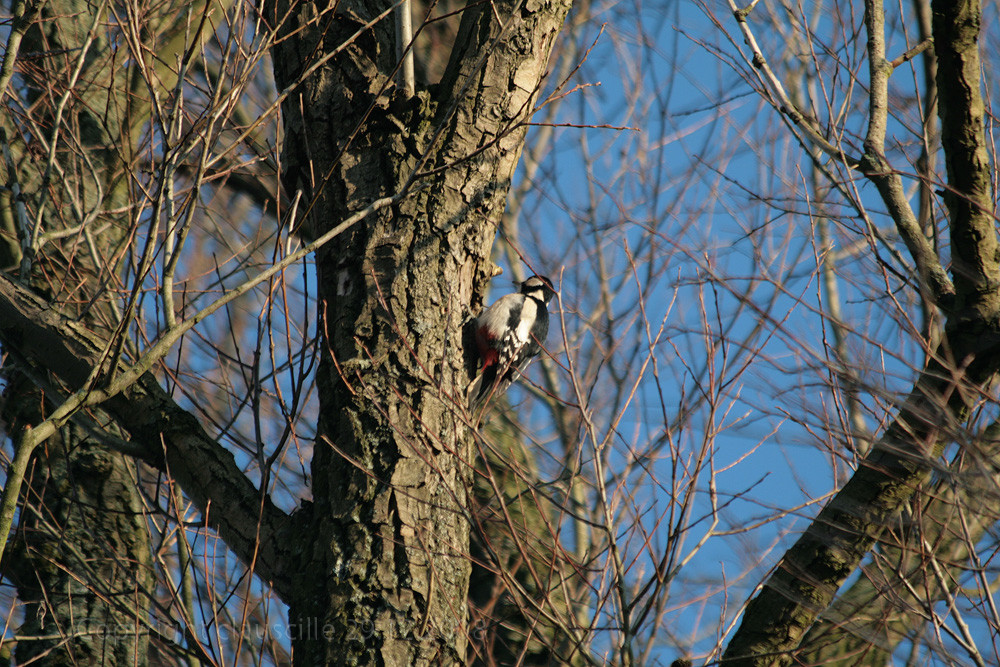 Bei meinem morgendlichen Spaziergang...