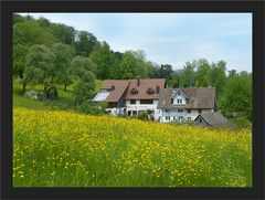 Bei meiner ersten kleinen Fototour