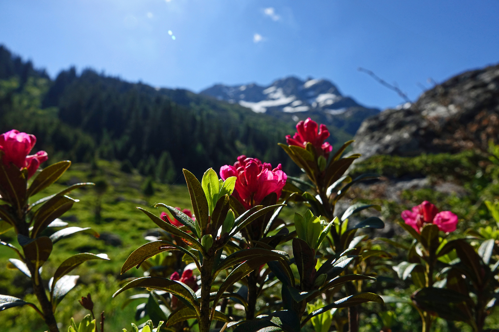 bei meiner heutigen Wanderung....