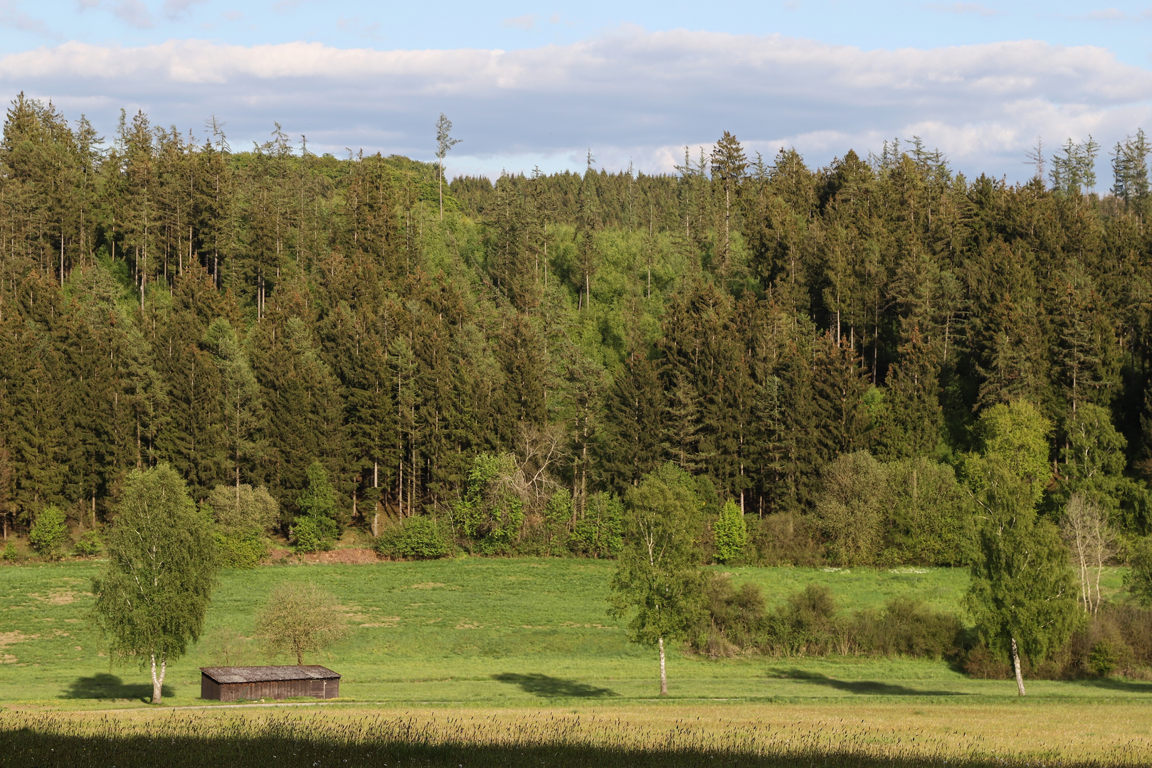 Bei Mellen (2019_05_14_EOS 6D Mark II_2452_ji)