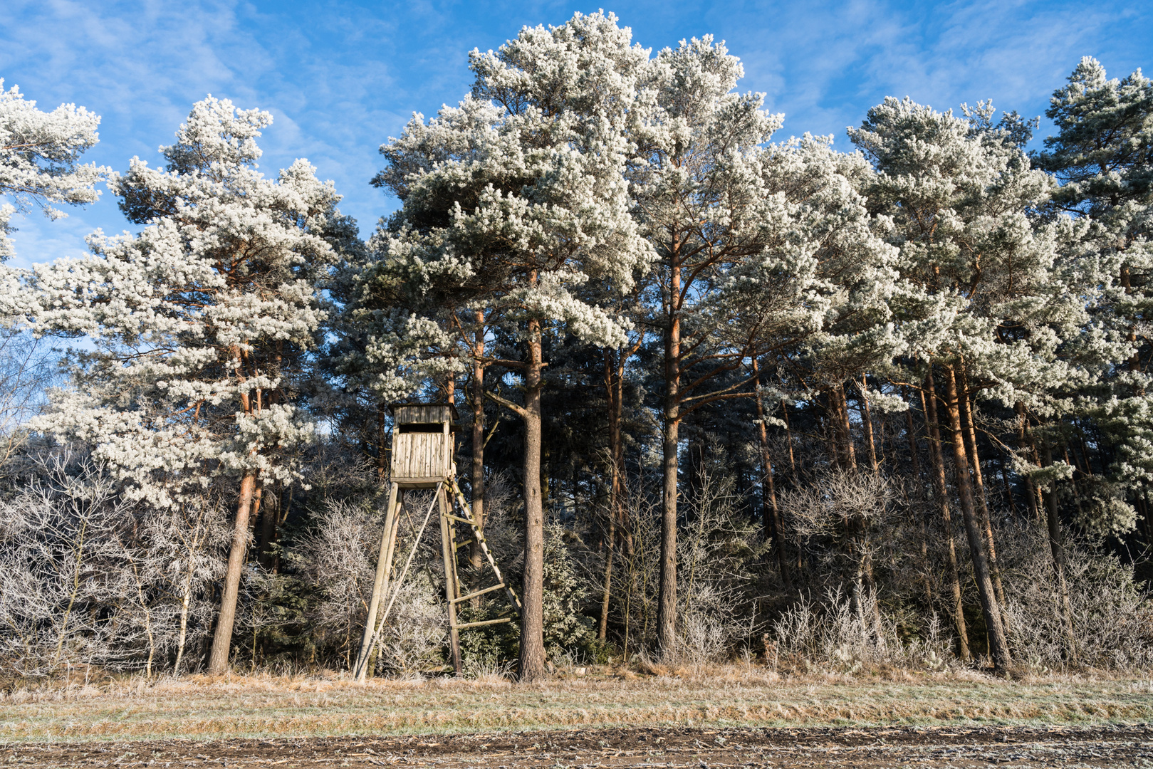 Bei minus 15 Grad irgendwo in Deutschland...