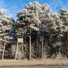 Bei minus 15 Grad irgendwo in Deutschland...