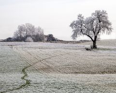 Bei mir daheim....