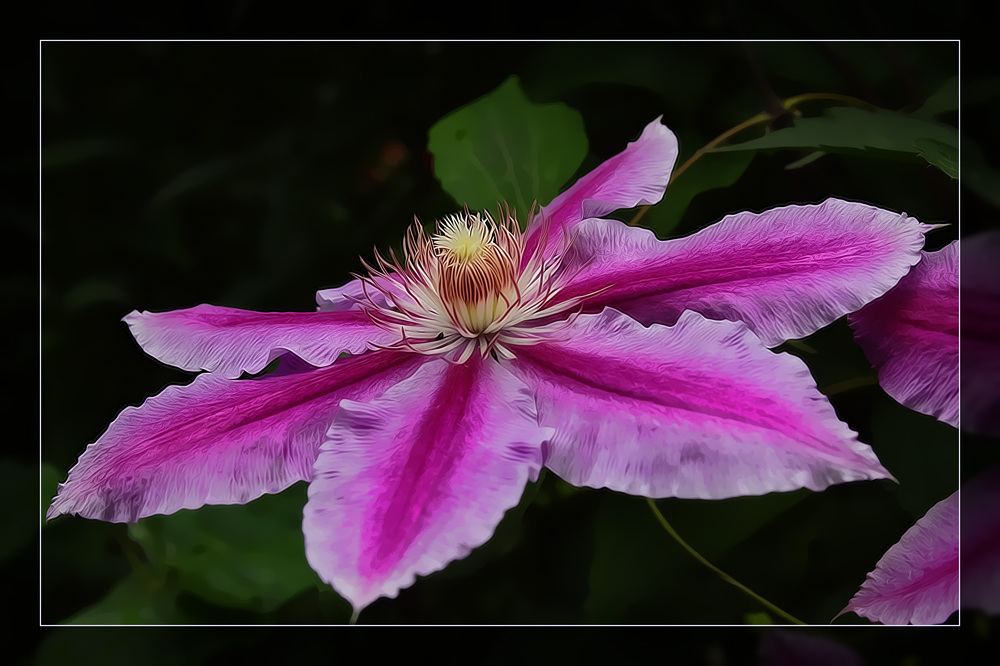 ..bei mir im Garten