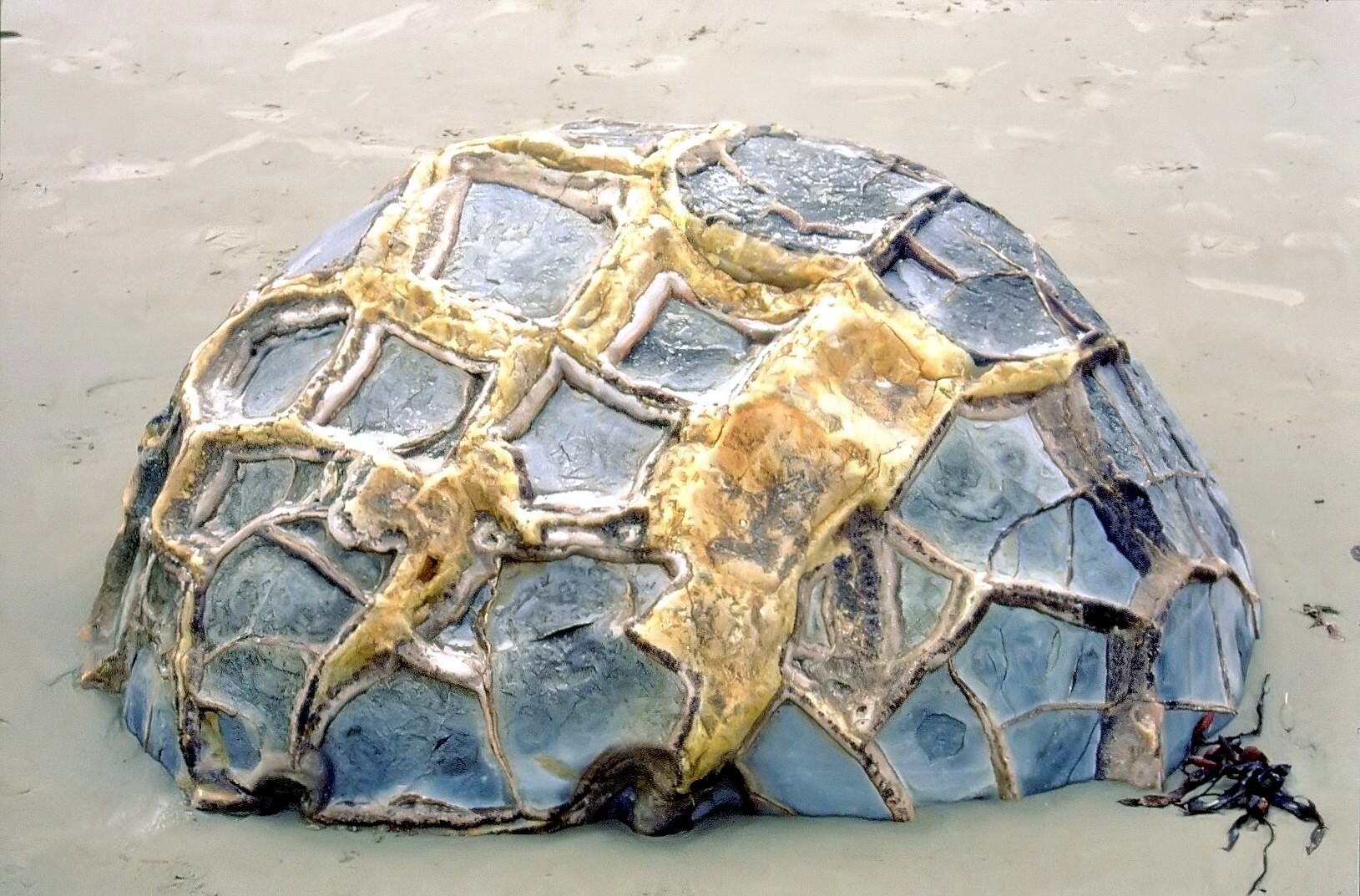 ... bei Moeraki Boulders - Waitaki 