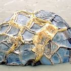 ... bei Moeraki Boulders - Waitaki 