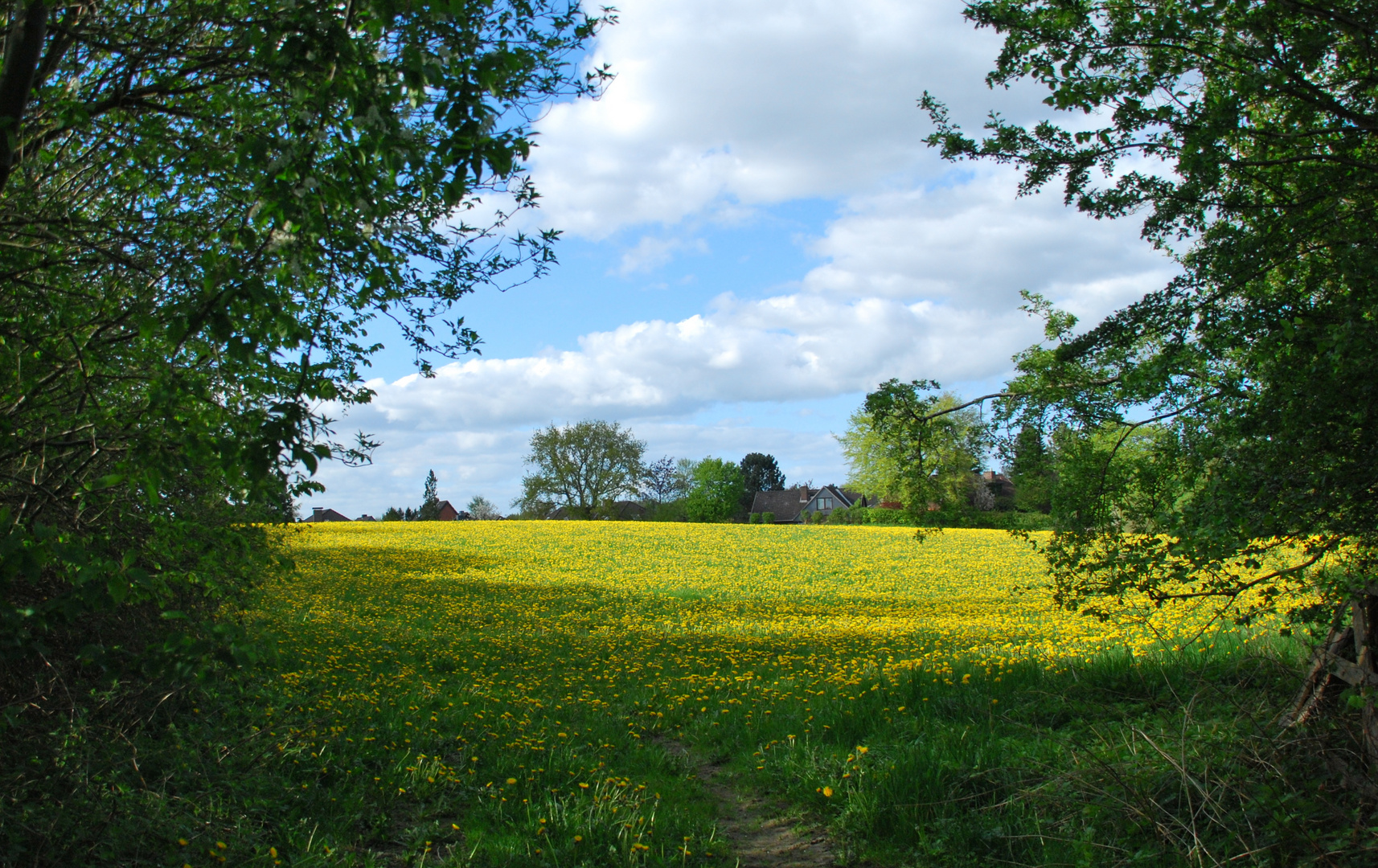 bei Molfsee