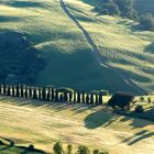 ... bei Montepulciano / Toscana