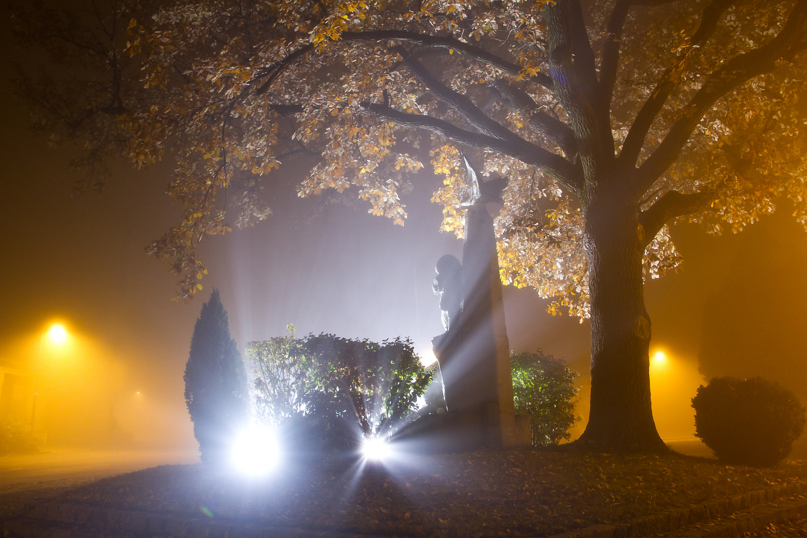 Bei Nacht & Nebel ....