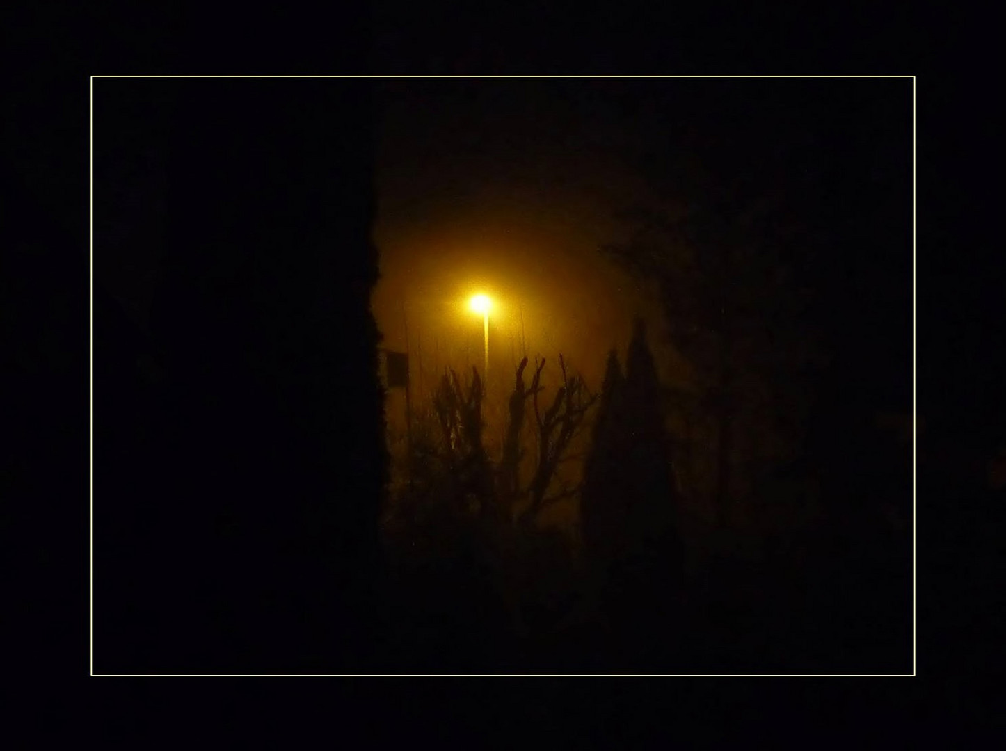 Bei Nacht und Nebel