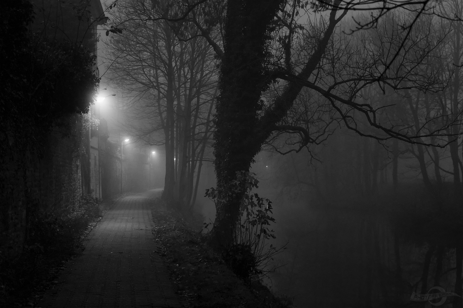 Bei Nacht und Nebel Foto & Bild | nebelstimmungen, wetter, wasser