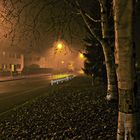 Bei Nacht und Nebel HDR