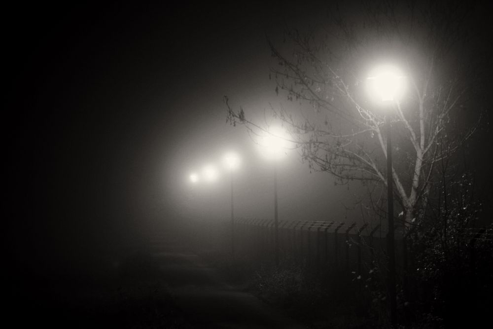 Bei Nacht und Nebel im Herbst...