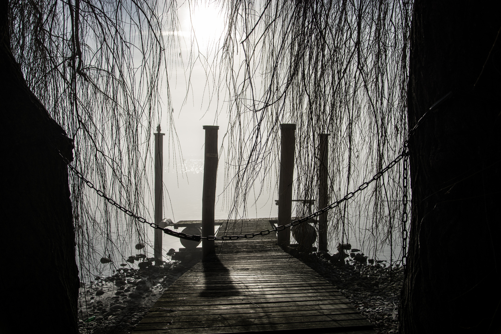 Bei Nebel am Bodensee