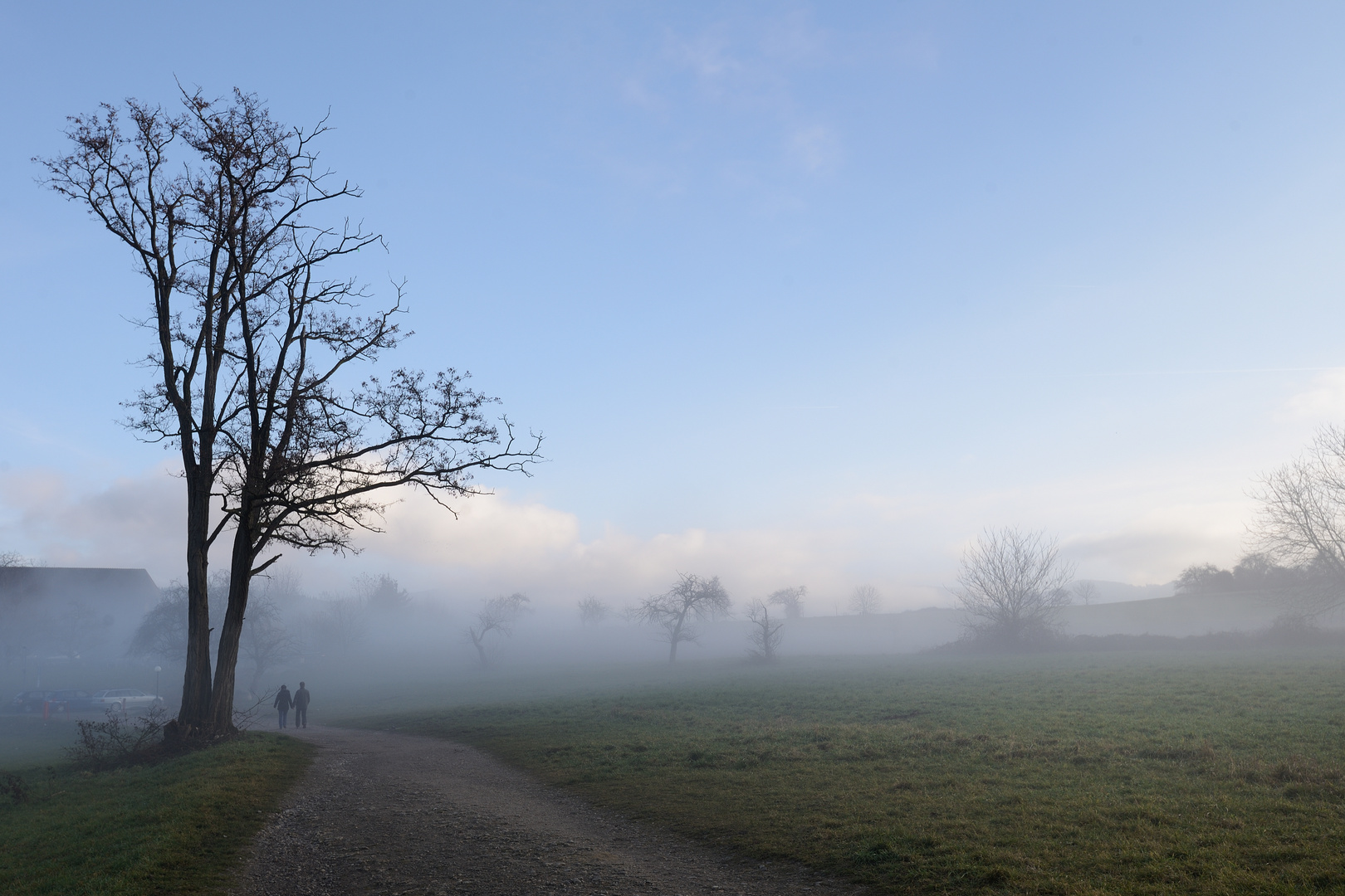 Bei Nebel am Schönberg