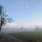 Bei Nebel am Schönberg