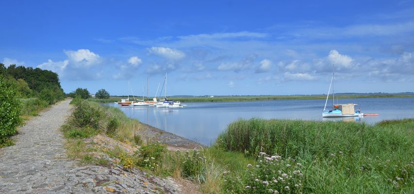 Bei Neuendorf Juli 2025
