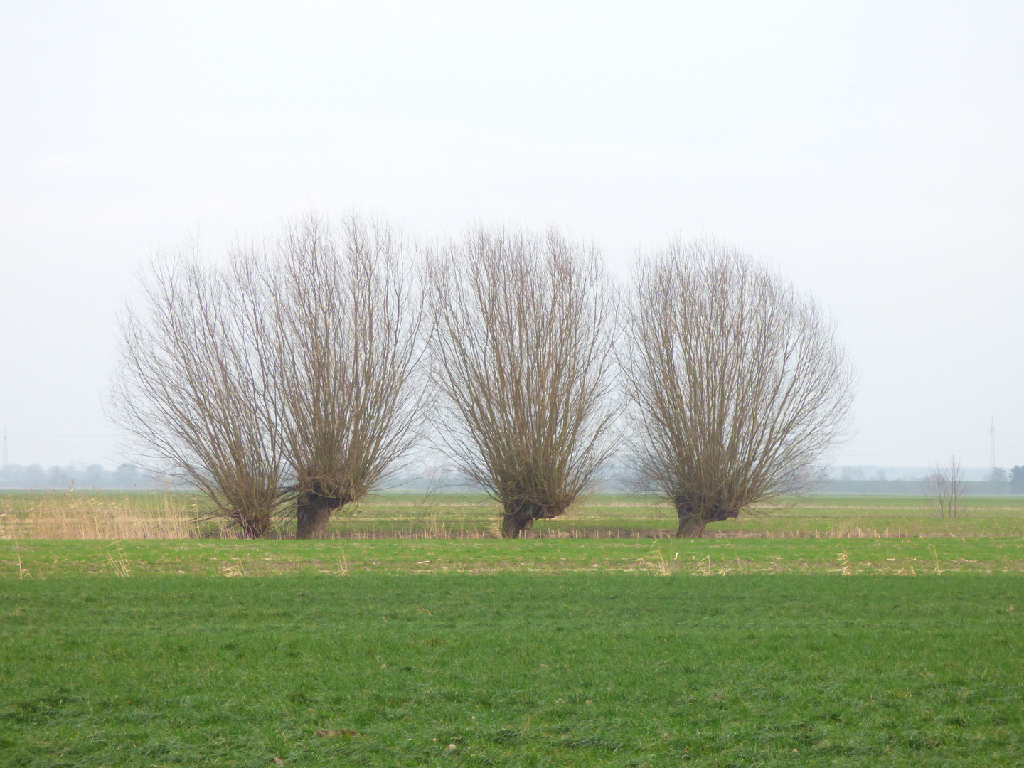 Bei Neuendorf, Schleswig-Holstein