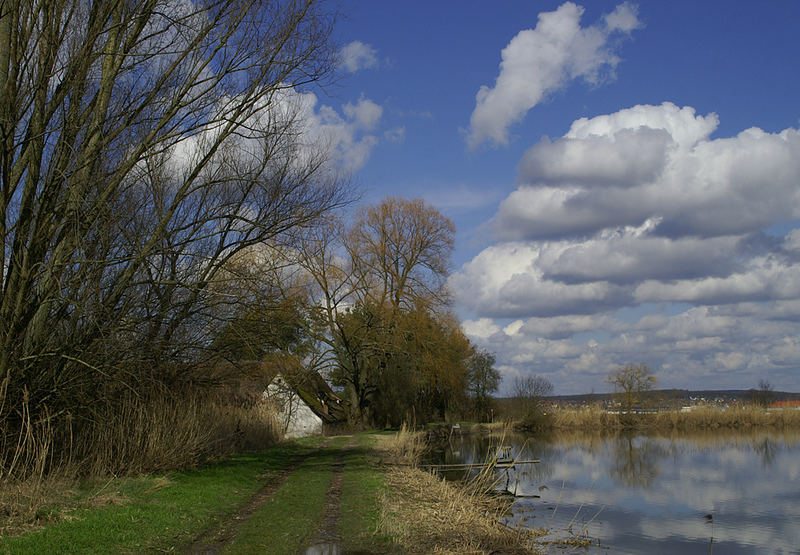 bei Neuhaus/Adelsdorf