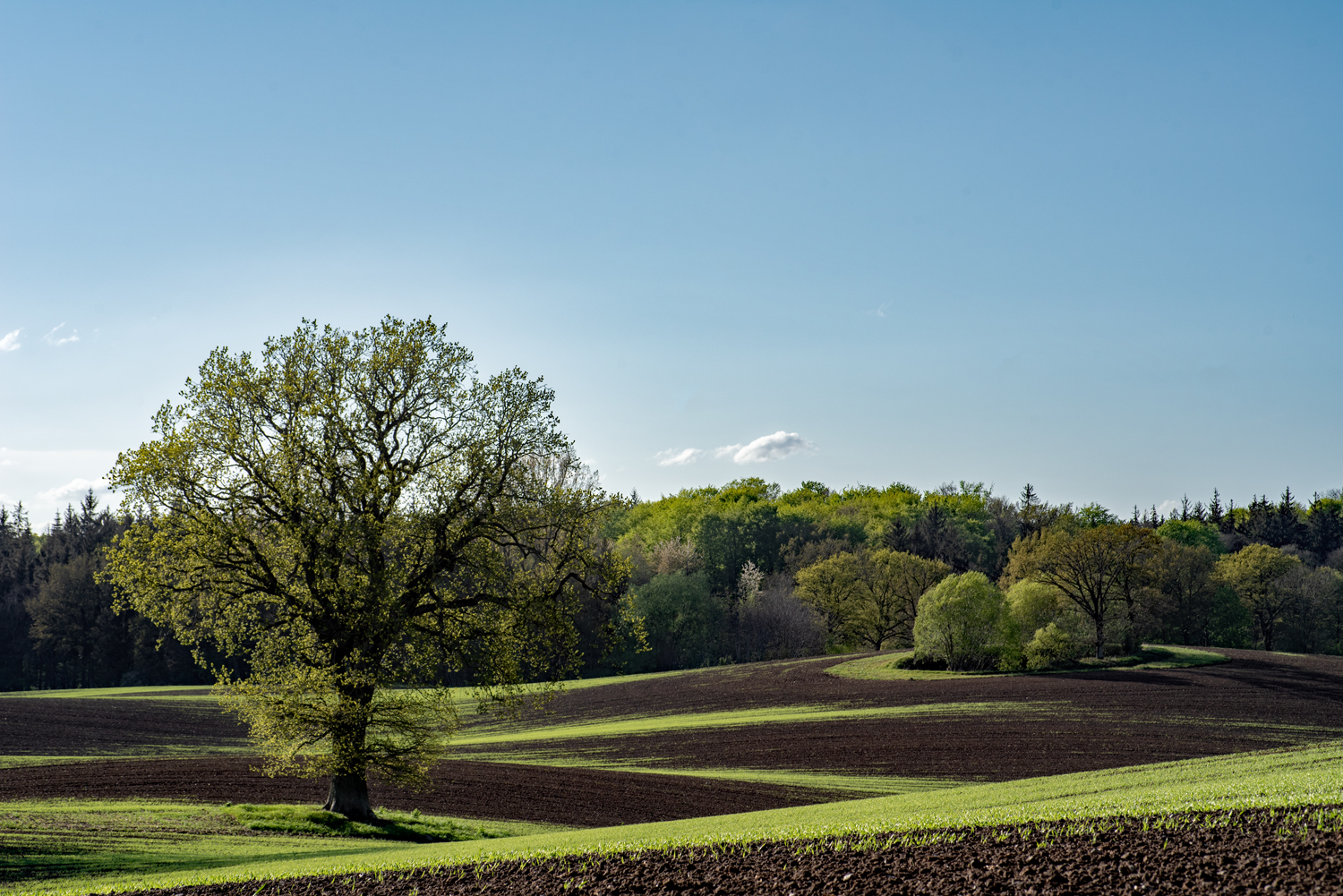 bei Neukirchen/Lütjenburg