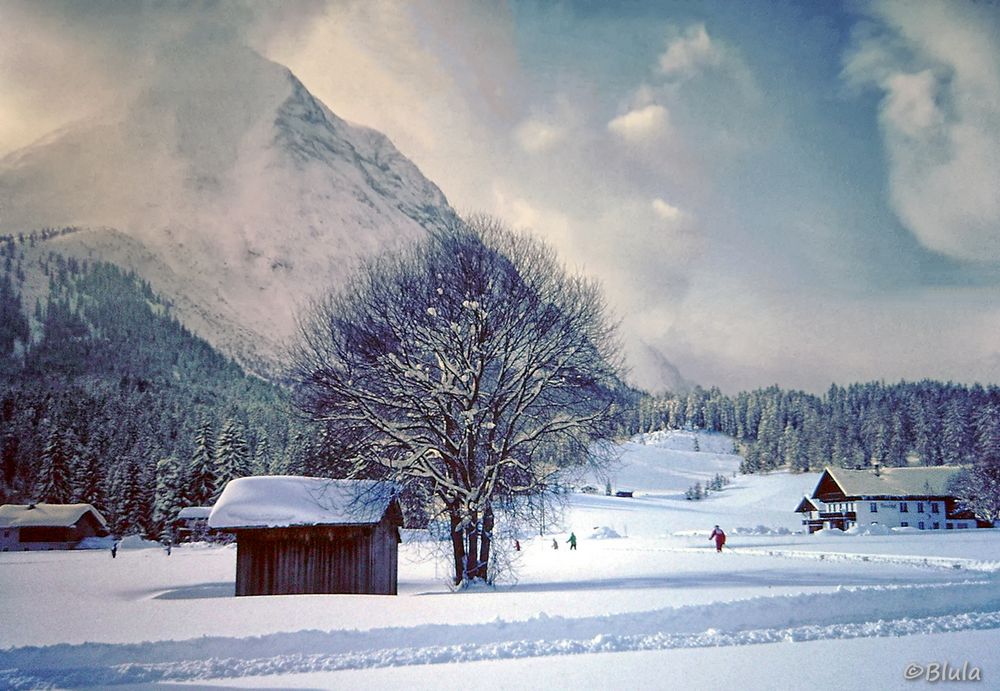 bei Neuschnee sind die ersten Langläufer ....