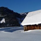 "Bei Oberjoch Hüttenblick 2"