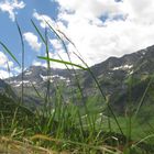 Bei Pfelders in Südtirol