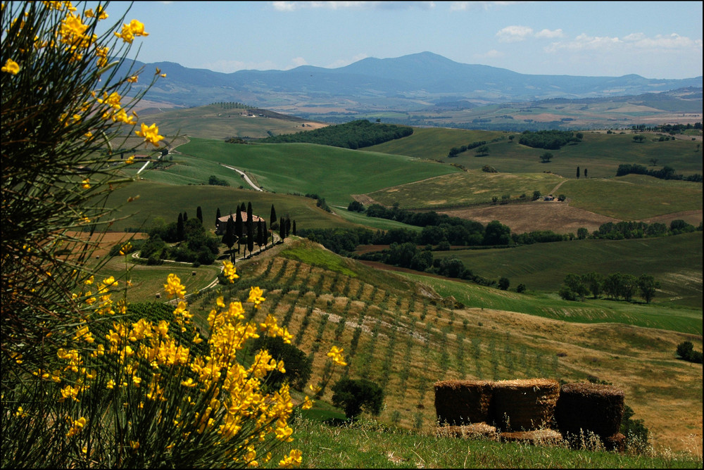 Bei Pienza