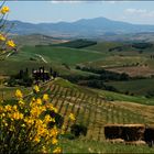 Bei Pienza