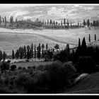 Bei Pienza