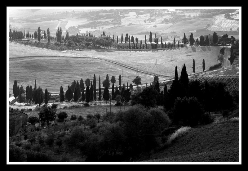 Bei Pienza