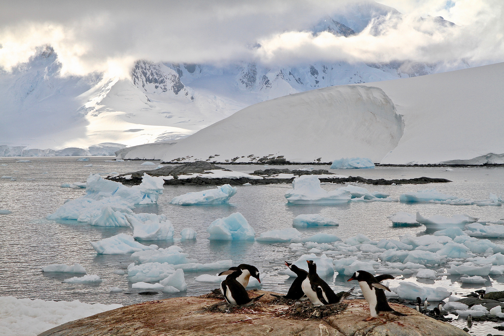 Bei Port Lockroy, Antarktis